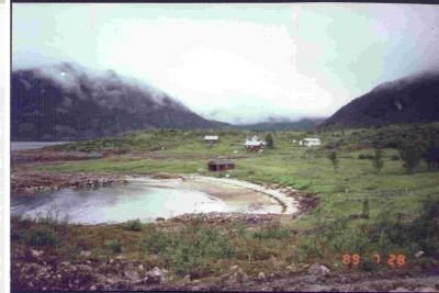 vikan 1